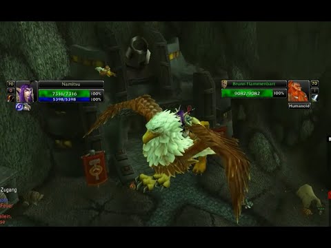 WoW TBC classic #71 Endlich Level 70 - Fliegen ist angesagt