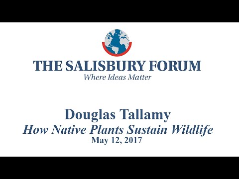 download lagu mp3 mp4 Florist Salisbury Ct, download lagu Florist Salisbury Ct gratis, unduh video klip Florist Salisbury Ct