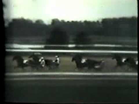 Hambletonian 1959 -Diller Hanover