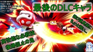【最後のDLC】初心者ソラ、コンボできなくてもVIP行けたんだが？【スマブラSP】
