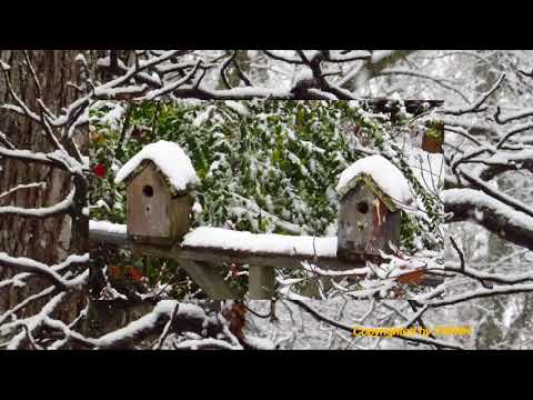 Siyalla Idiri Gara Watunada - by Sunil Edirisinghe