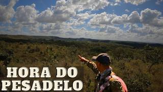 O RESULTADO VEM DO ESFORÇO | JAVALI BRASIL | #repost