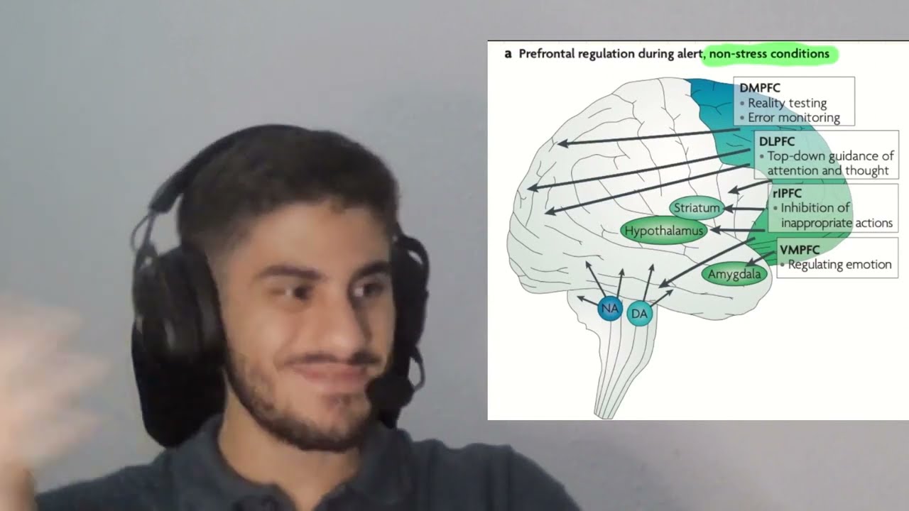 Neurociência da Regulação emocional (para traders)