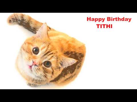 Tithi  Cats Gatos - Happy Birthday