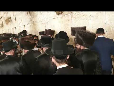 Sadigura Yerushalayim Visiting The Kosel Chol Hamoed Sukkos 5782