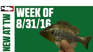 What's New At Tackle Warehouse 8/31/16