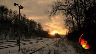 Don`t Cry for Me Argentina - Richard Clayderman