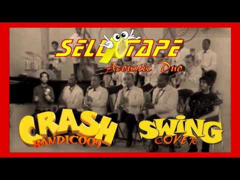 Crash Bandicoot Swing Cover