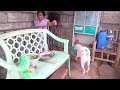 MUNGGO With Pechay And Chicken Feet Food Filipinolife Cooking Dailyvlog