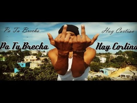 El Koala Wilmore ❌ Pa Tu Brecha Hay Cortina [Video Oficial]