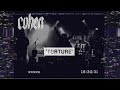 Cohen  - Torture (Live Music Video)