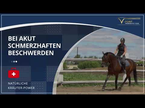 V-Point® ARTHRO Acute Horse Joints (German text/audio)