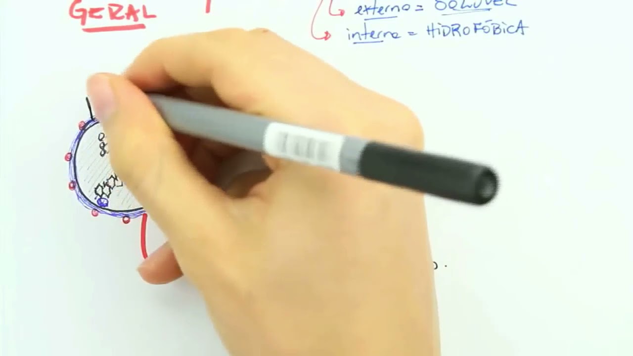 COLESTEROL E QUILOMICRA - BIOQUÍMICA FÁCIL!!