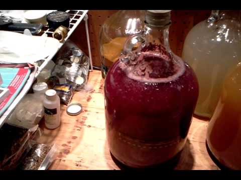 download lagu mp3 mp4 Raspberry Wine Coolers, download lagu Raspberry Wine Coolers gratis, unduh video klip Raspberry Wine Coolers