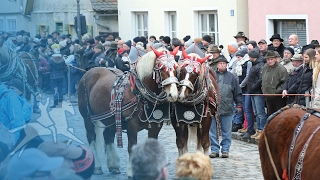 Gastspiel der Schwergewichte: Berchinger Rossmarkt