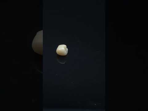 YouTube 썸네일