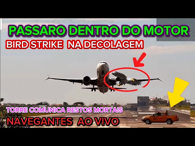 Câmera registra momento que piloto relata colisão com pássaros na decolagem aeroporto de navegantes