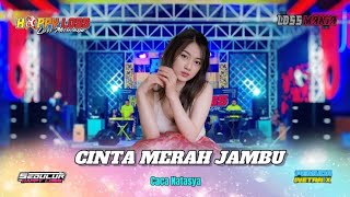 Download lagu HAPPY LOSS - CINTA MERAH JAMBU - CACA NATASYA - HALAL BI HALAL PEMUDA WETAN X - PIJI DAWE KUDUS mp3
