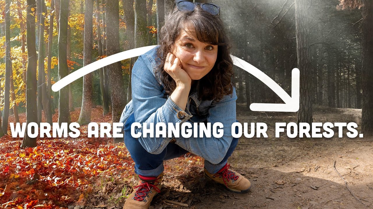 Michigan Isn’t Supposed to Have Earthworms