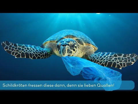 Plastik im Meer – Die Folgen | Einfach erklärt für Kinder | Coole Helden