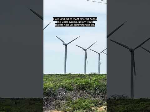 Discover Falcón Venezuela Where History Meets Hidden Natural Wonders