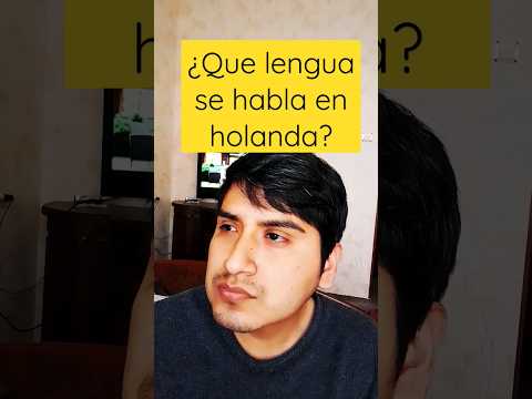 ¿Con que idioma hablan en holanda?