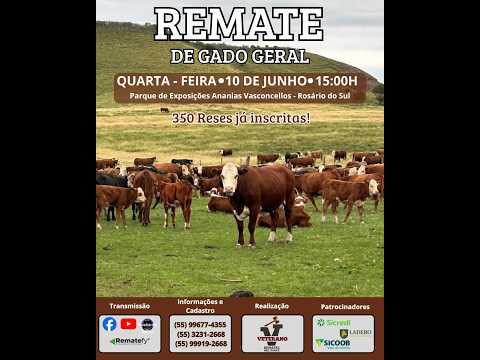 10/05 - REMATE DE GADO GERAL | 15:00h