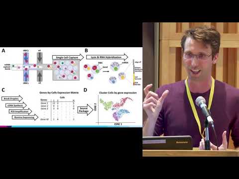 Accelerating Single-cell Bioinformatics with N-dimensional Arrays in the Cloud