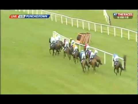 Betdaq The Peoples Exchange Champion Bumper 2013