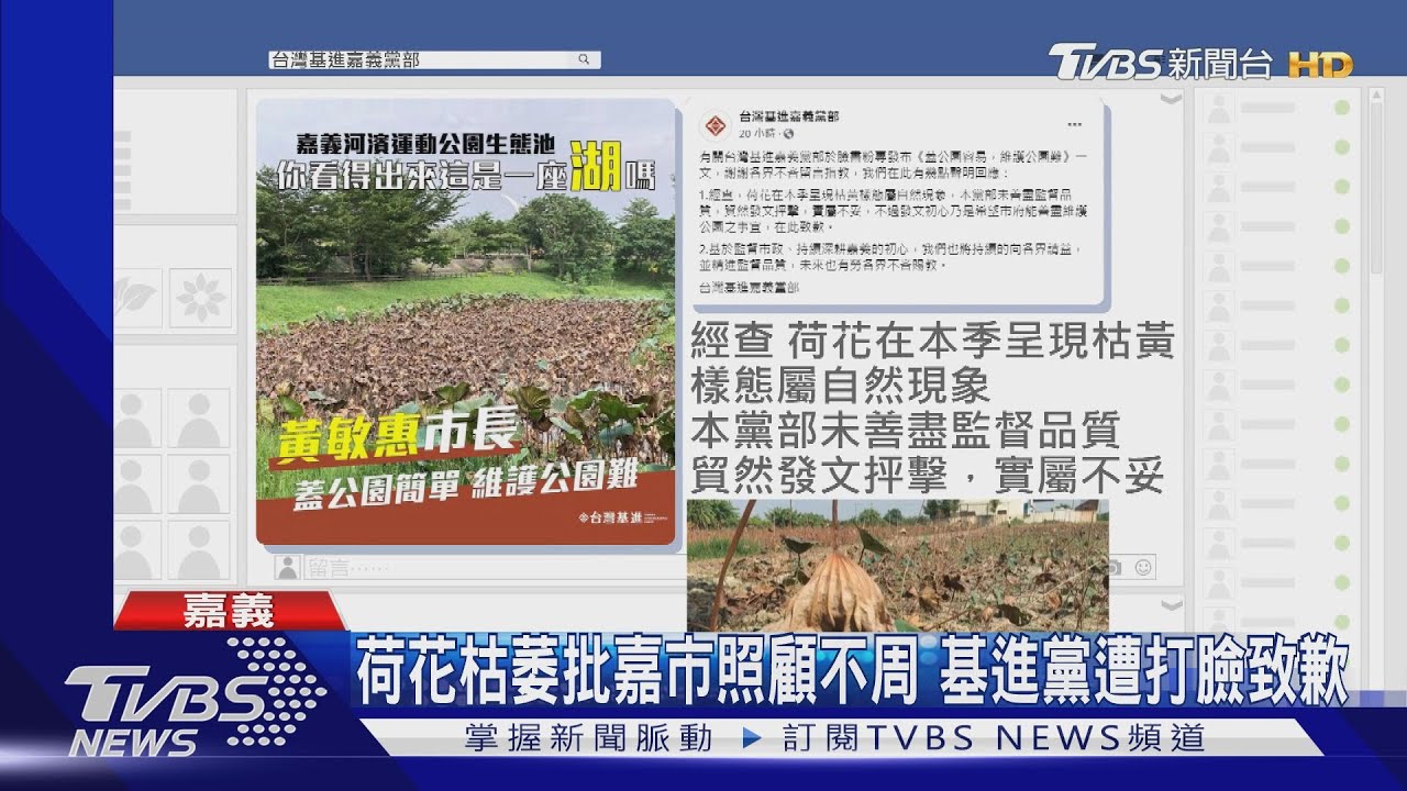「荷花枯萎」轟市府未盡責 基進黨慘遭打臉