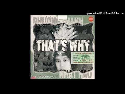 Nhặt cánh hoa rơi - Nhật Hào