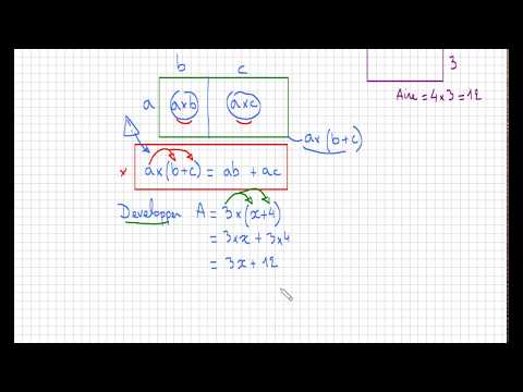 comprendre la distributivité simple avec les aires • k(a+b)=ka+kb • cinquième quatrième troisième