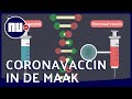 In de race voor het vaccin tegen corona: zo gaat dat | NU.nl