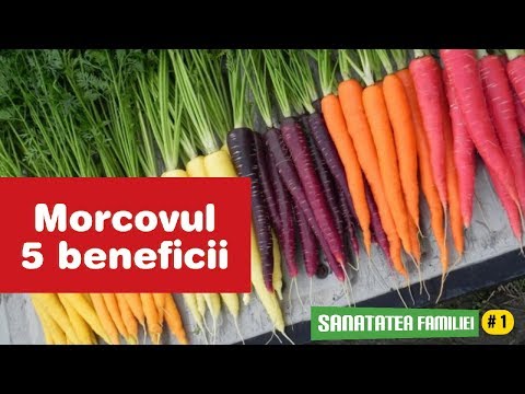 morcovi i vene varicoase ohainan varicoza tratament