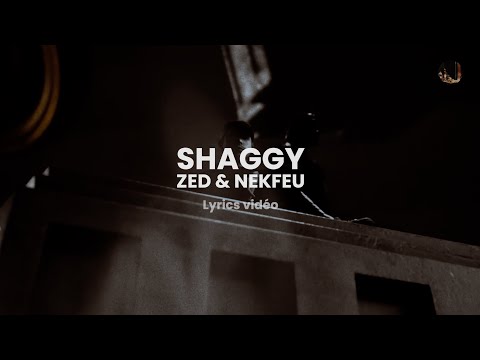 ZED - SHAGGY FT. NEKFEU (PAROLES/LYRICS)