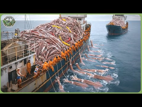 The World’s Biggest Catch - How Fishermen Haul 98 Million Tons of Seafood Each Year