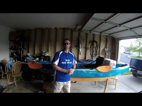 Ascend FS12T Review & Fishing - The Angling Experience