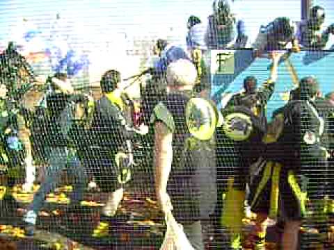 aranceri pantera nera 2011