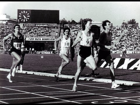 Tatabányai SC: A Reichnach Család