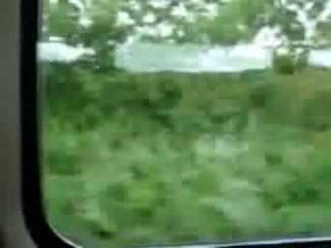 First Train Home