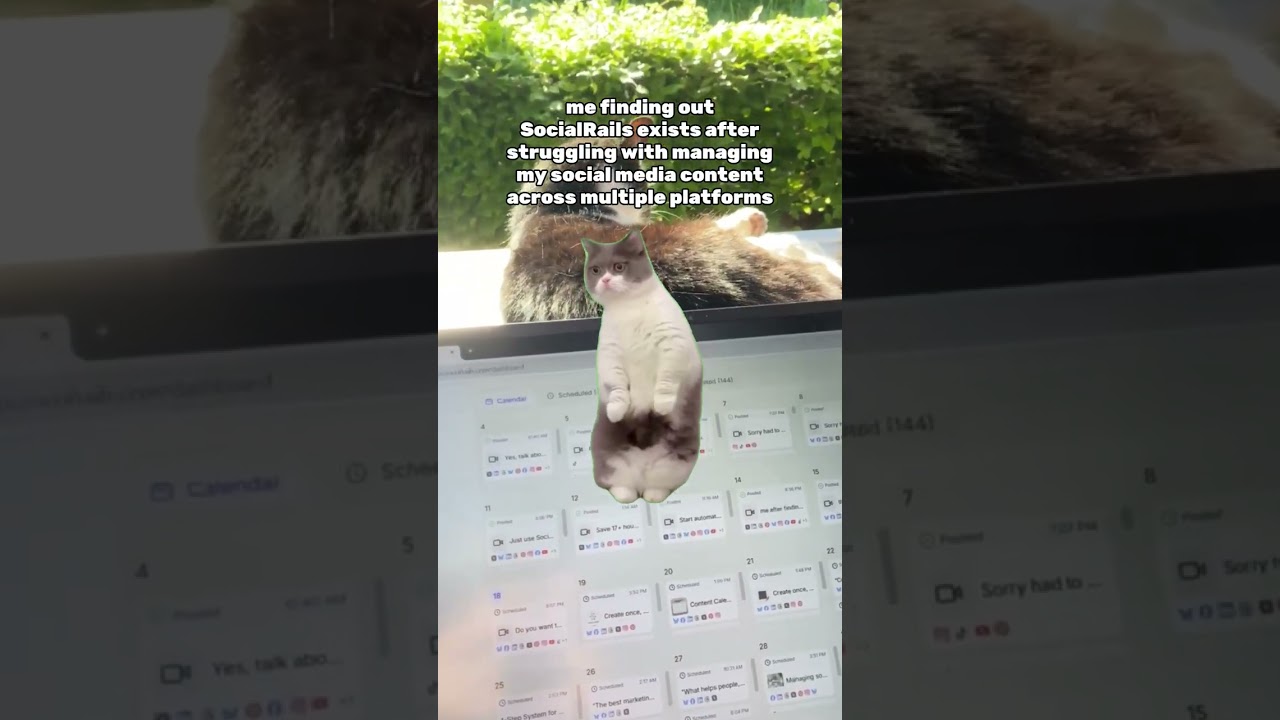 me finding out that SocialRails exists 🤪