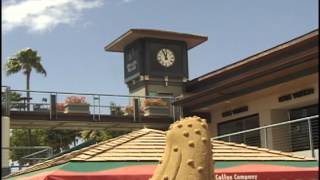 Whaler's Village Hawaii Sand Castle