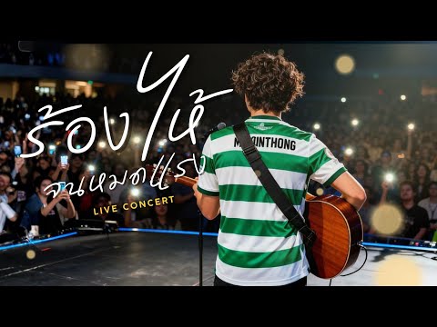 SOUNDWAVE- ร้องไห้จนหมดแรง (Live Session) | Special Thank You to Fans