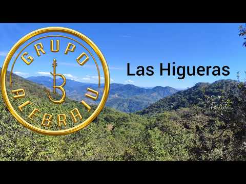Las Higueras - Grupo Alebraju
