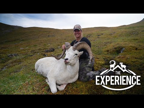 Char Catlin Dall Sheep Experience “Age is just a Number”