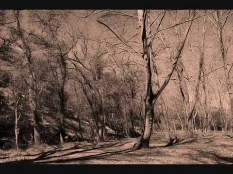 Romeiros (Ourém) - O milho da nossa terra