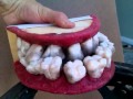 Mr Gurgle Gut Mouth