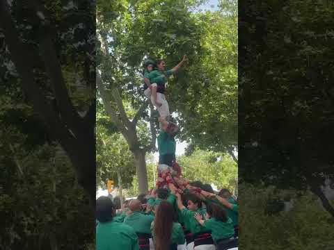 video-cover