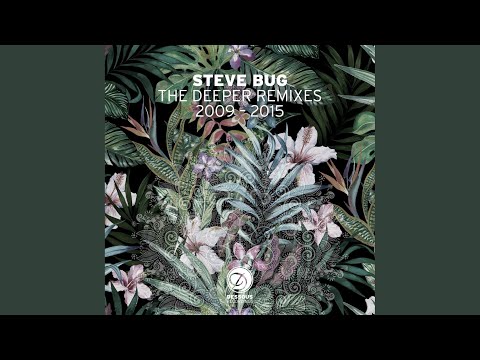 Rise (Steve Bug Remix)