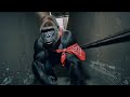 KillaMoe - Layoo (Official Music Video)